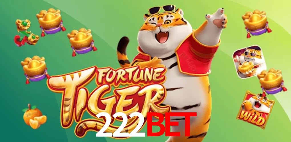 Experiência VIP 222bet